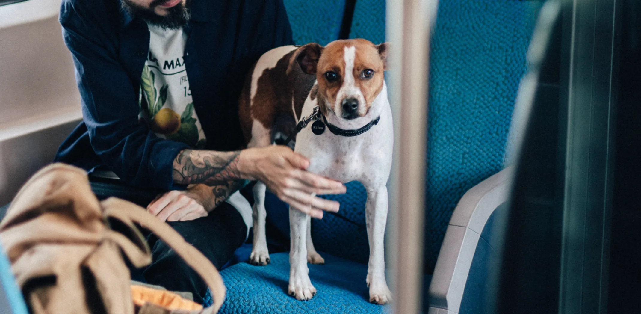 Dog on train 